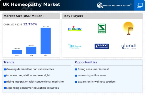 UK Homeopathy Market Infographic
