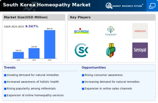 South Korea Homeopathy Market Infographic