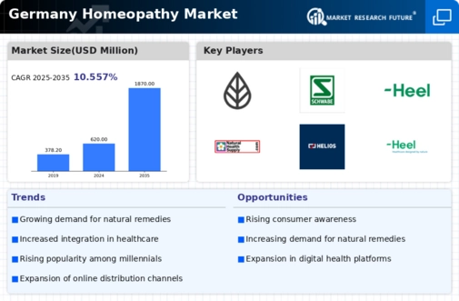 Germany Homeopathy Market Infographic