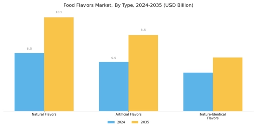 Food Flavors Market Segment Image 0