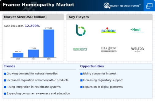 France Homeopathy Market Infographic