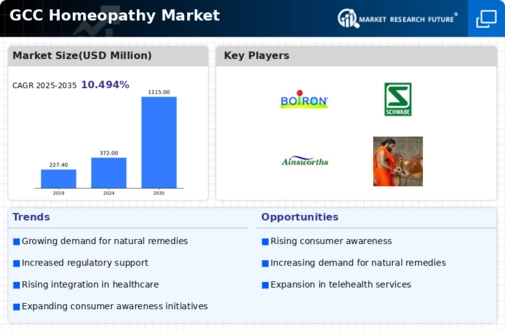 GCC Homeopathy Market Infographic