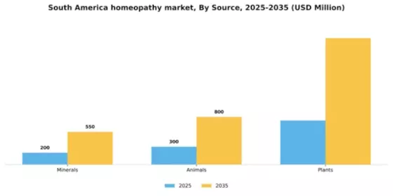 South America Homeopathy Market Segment Image 1