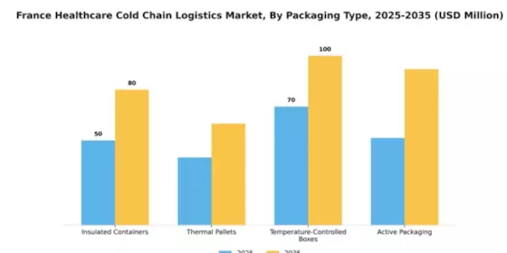 France Healthcare Cold Chain Logistics Market Segment Image 2
