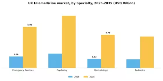 UK Telemedicine Market Segment Image 2