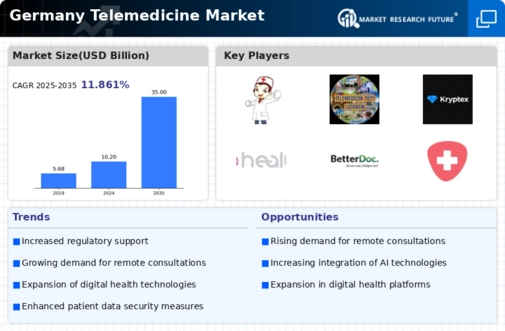 Germany Telemedicine Market Infographic