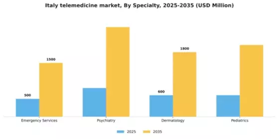 Italy Telemedicine Market Segment Image 2