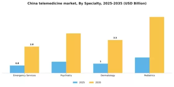 China Telemedicine Market Segment Image 2