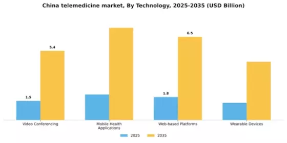 China Telemedicine Market Segment Image 3