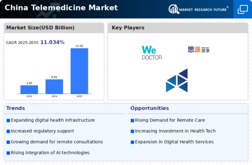 China Telemedicine Market Infographic