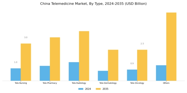 China Telemedicine Market Segment Image 2