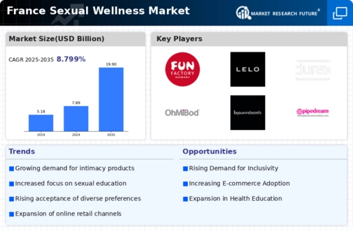 France Sexual Wellness Market Infographic