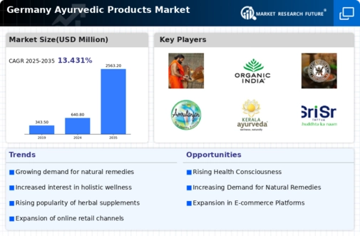 Germany Ayurvedic Products Market Infographic