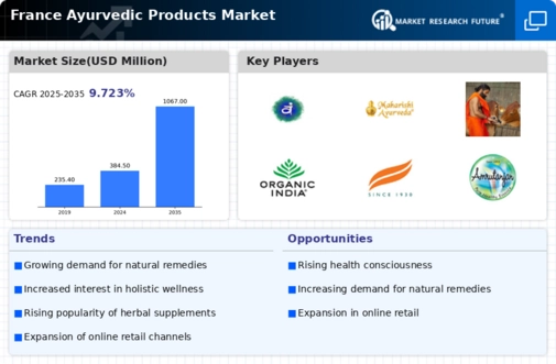 France Ayurvedic Products Market Infographic