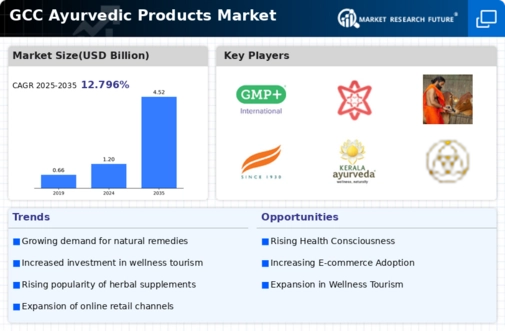 GCC Ayurvedic Products Market Infographic