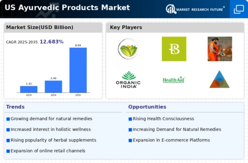 US Ayurvedic Products Market Infographic