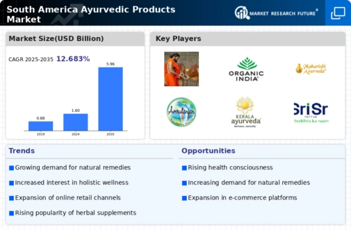 South America Ayurvedic Products Market Infographic