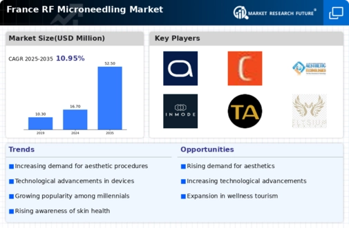 France RF Microneedling Market Infographic