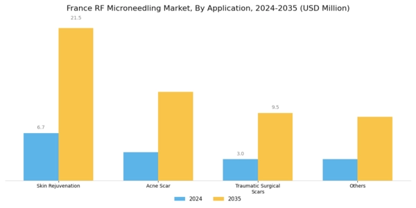 France RF Microneedling Market Segment Image 1