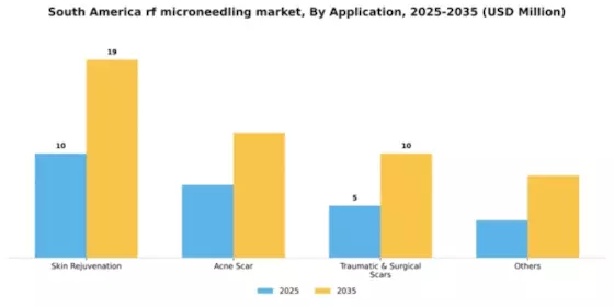 South America RF Microneedling Market Segment Image 0
