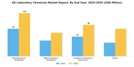UK Laboratory Chemicals Market Segment Image 1