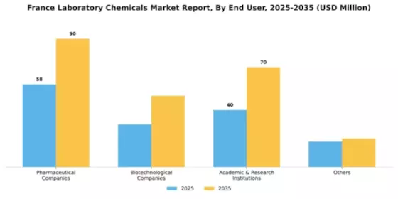 France Laboratory Chemicals Market Segment Image 1