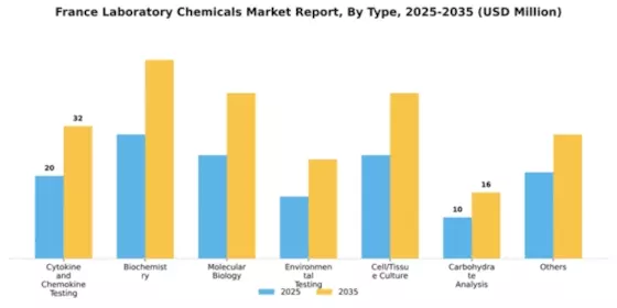 France Laboratory Chemicals Market Segment Image 2