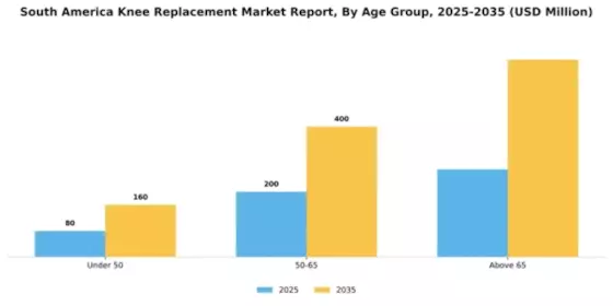 South America Knee Replacement Market Segment Image 0