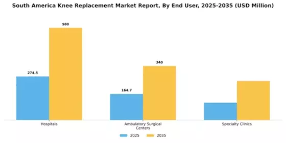 South America Knee Replacement Market Segment Image 1