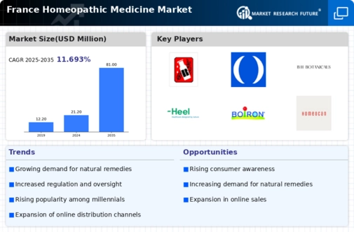 France Homeopathic Medicine Market Infographic