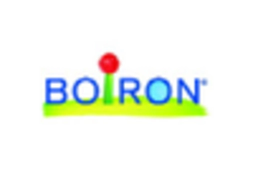 France Homeopathic Medicine Market key player