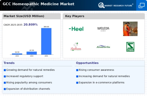 GCC Homeopathic Medicine Market Infographic