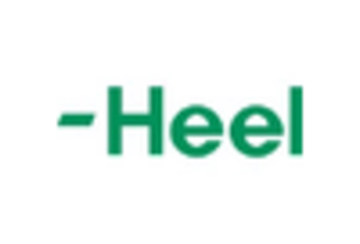 GCC Homeopathic Medicine Market key player