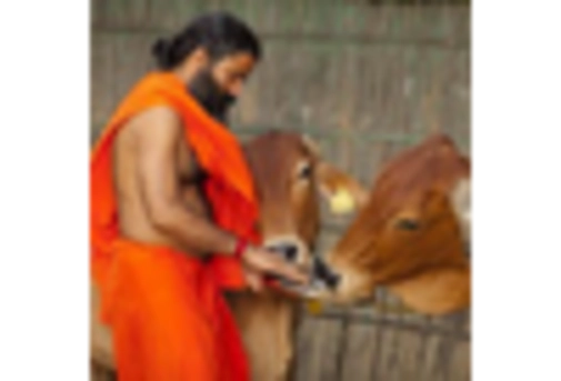 GCC Homeopathic Medicine Market key player