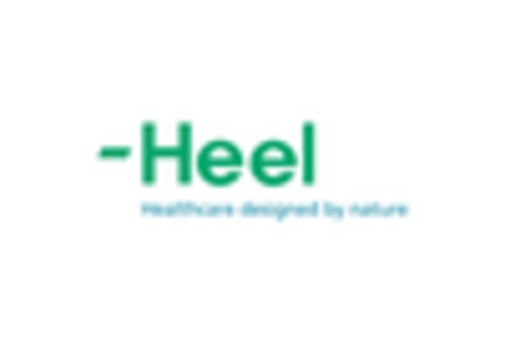 South America Homeopathic Medicine Market key player