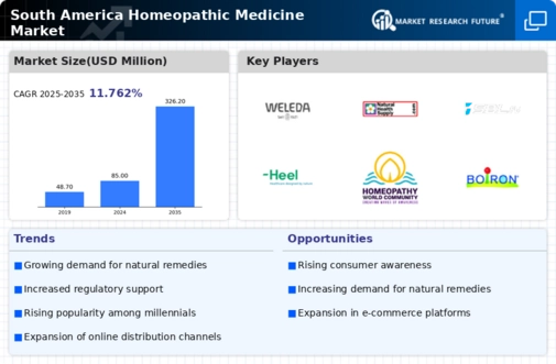 South America Homeopathic Medicine Market Infographic