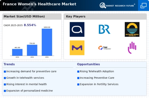 France Womens Healthcare Market Infographic