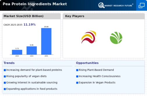 Pea Protein Ingredient Market Infographic