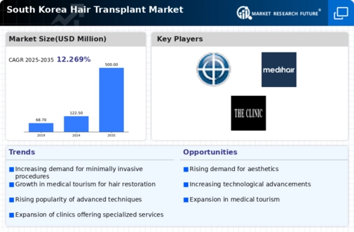 South Korea Hair Transplant Market Infographic