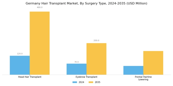 Germany Hair Transplant Market Segment Image 1