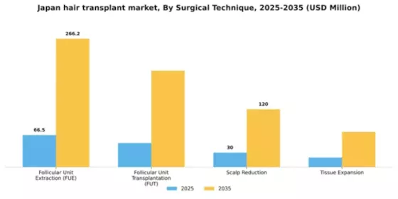 Japan Hair Transplant Market Segment Image 3