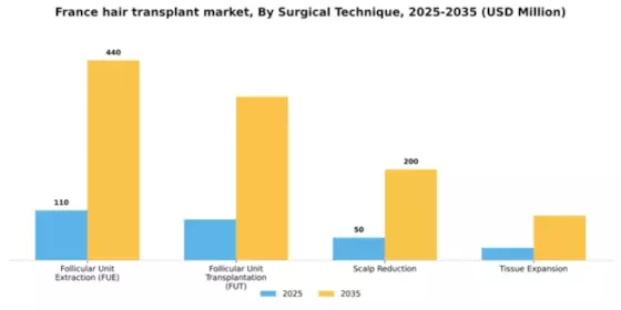 France Hair Transplant Market Segment Image 3