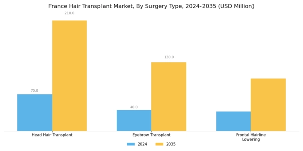 France Hair Transplant Market Segment Image 1