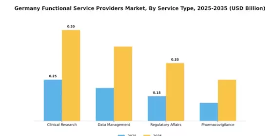 Germany Functional Service Providers Market Segment Image 3