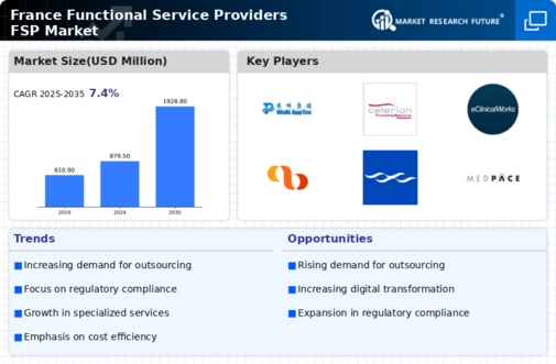 France Functional Service Providers Market Infographic