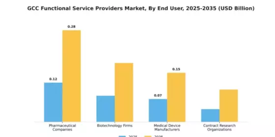 GCC Functional Service Providers Market Segment Image 0