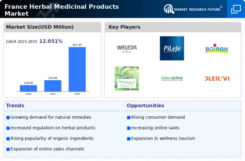 France Herbal Medicinal Products Market Infographic