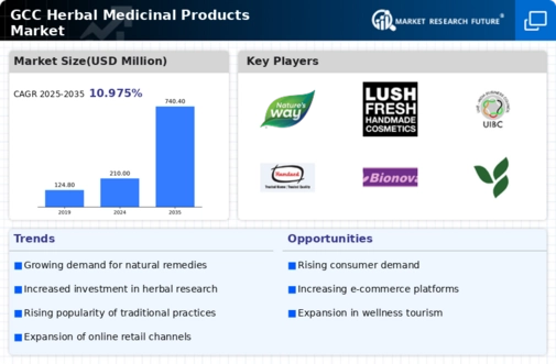 GCC Herbal Medicinal Products Market Infographic