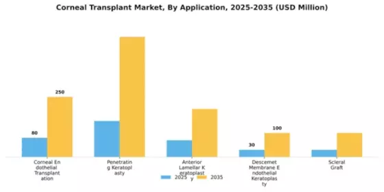 Corneal Transplant Market Segment Image 0