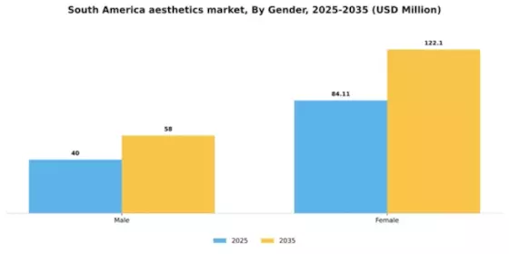 South America Aesthetics Market Segment Image 1